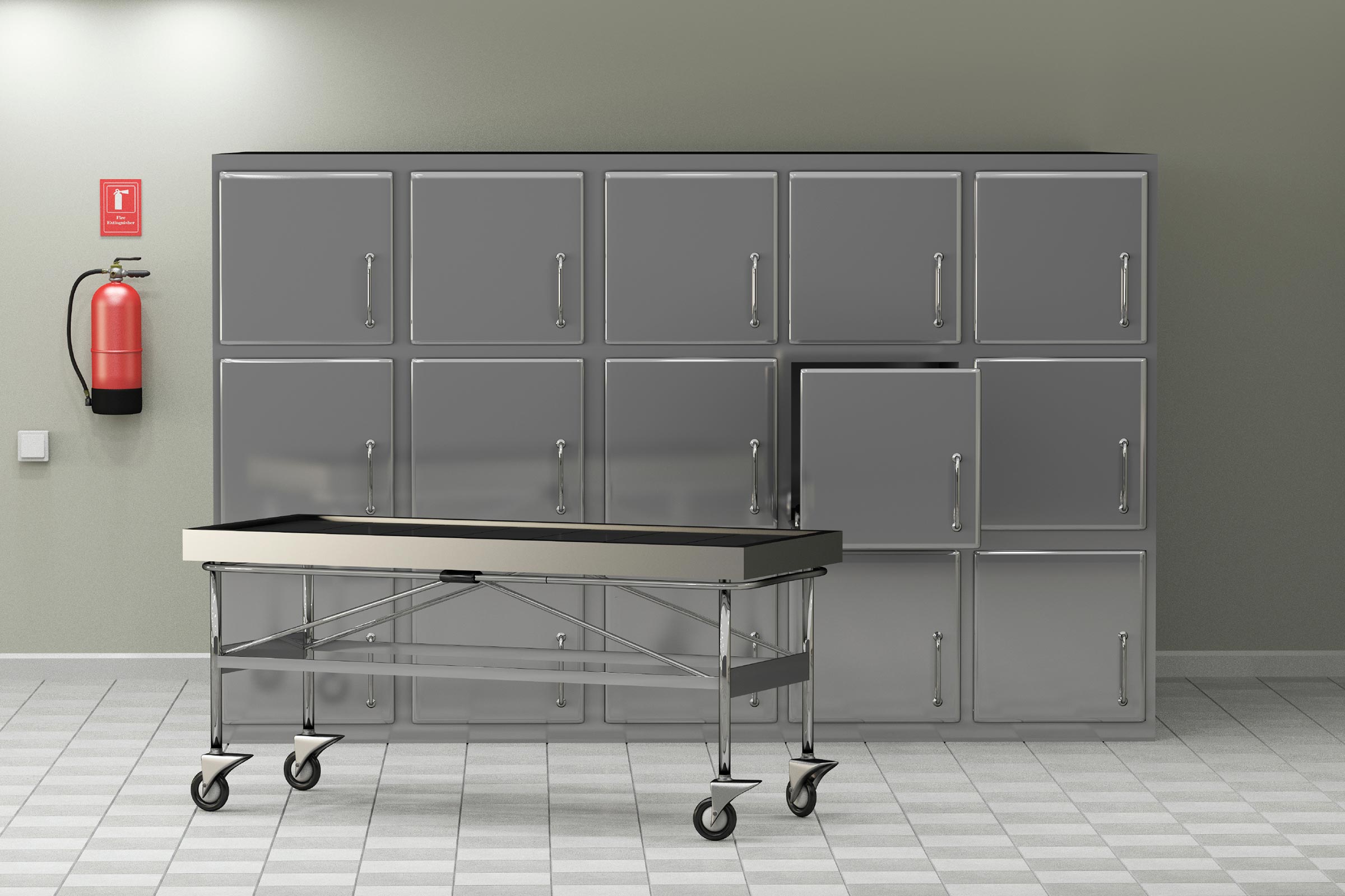 Body Storage Service