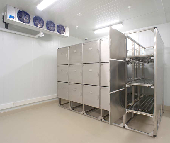 Body Storage