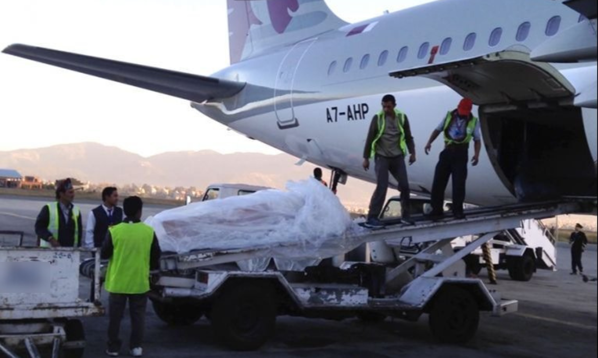Body Transport